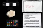 Foto (Objekt + Etikett) von Pithonoton sp.  (NHMW-GEO-2014-0194-0287)